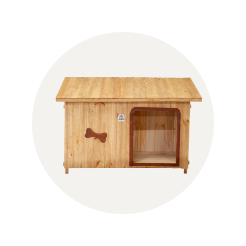categoria mokoi 1